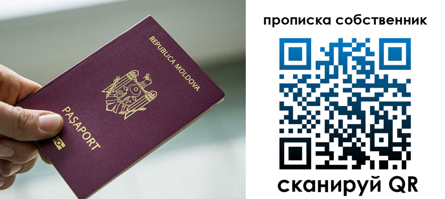 прописка паспорт в Барыше